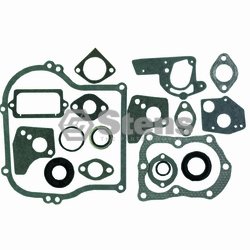 Gasket Set / Briggs & Stratton/495603