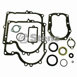 Gasket Set / Briggs & Stratton/494241